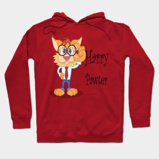 harry pawter Hoodie